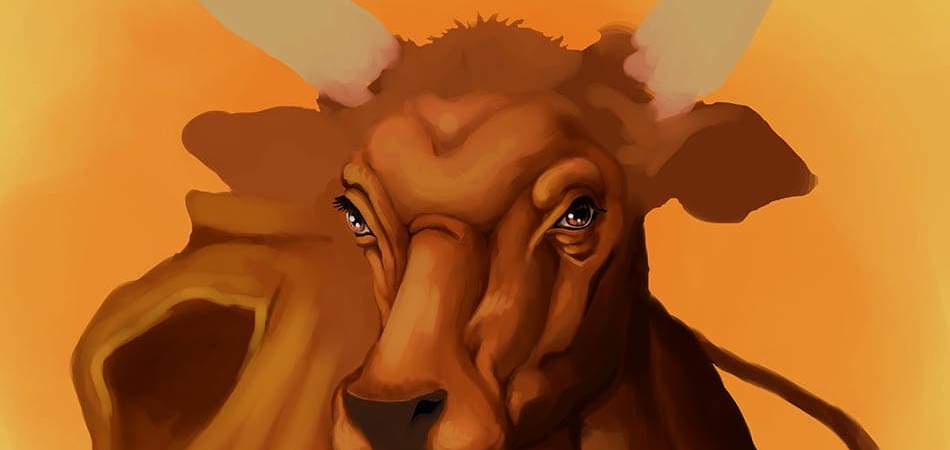 Webp.net-compress-image