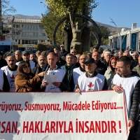 WhatsApp Image 2025-12-10 at 13.09.50