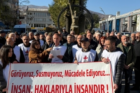 WhatsApp Image 2025-12-10 at 13.09.50