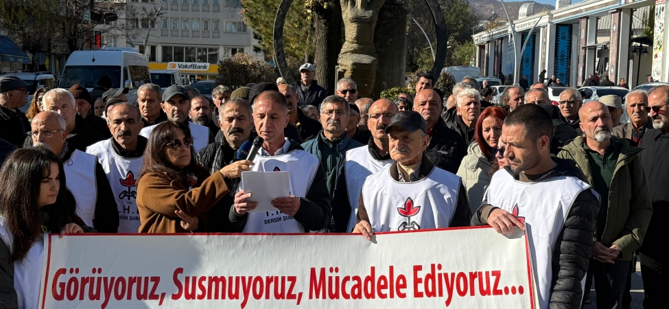 WhatsApp Image 2025-12-10 at 13.09.50