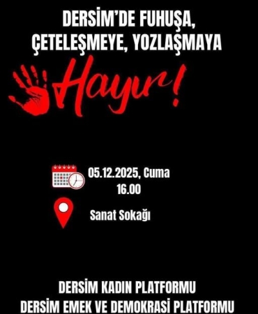 dersim-kadin-emek-ve-demokrasi-platformundan-cagri-1763630590