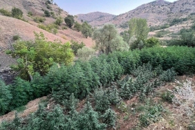 diyarbakir-uyusturucu-aa-2265417