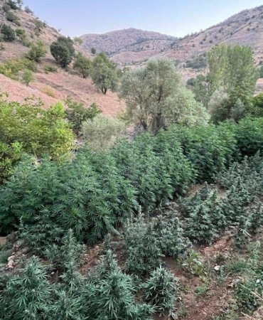 diyarbakir-uyusturucu-aa-2265417