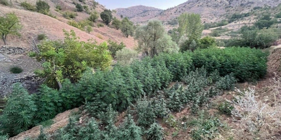 Lice’de uyuşturucuya karşı yürüyüşe çağrı