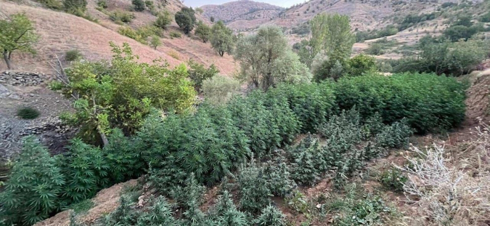 diyarbakir-uyusturucu-aa-2265417