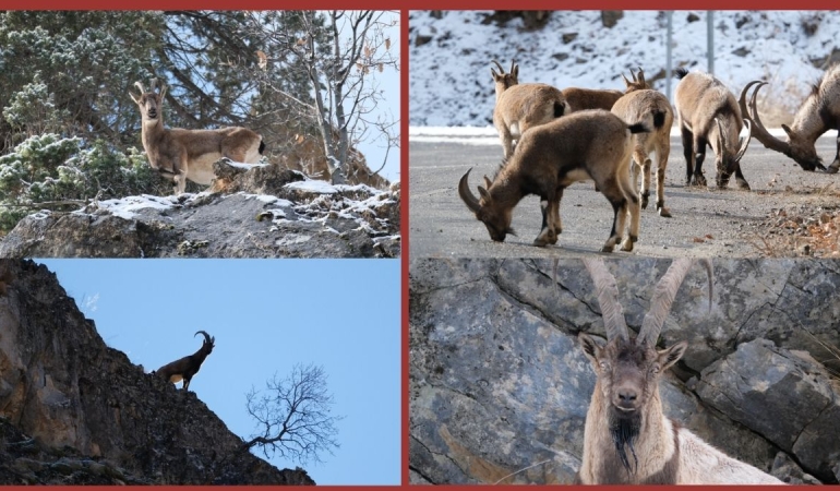 Munzur’un kutsalları
