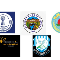 Ekran görüntüsü 2026-01-13 181011