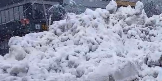 Dersim Seçilmişleri: Kayyım rejimi kar altında kaldı