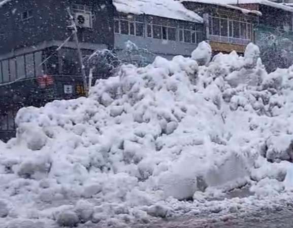 Dersim Seçilmişleri: Kayyım rejimi kar altında kaldı