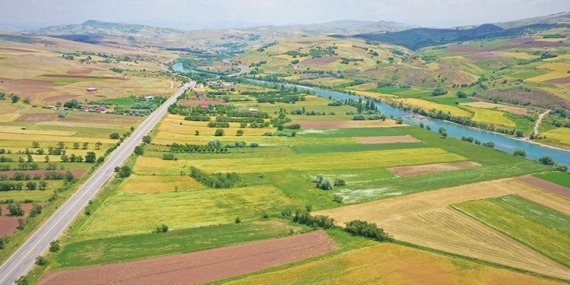 Dersim’de Yerel Tohum, Üretim ve Muhafaza Merkezi Kurulmalıdır