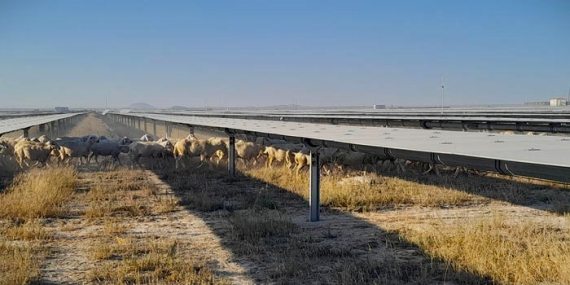 Sur’da arkeolojik sit alanına GES projesi