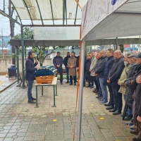 WhatsApp Image 2026-02-18 at 12.46.31