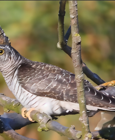 WhatsApp Image 2026-02-19 at 22.18.34 (1)-artguru