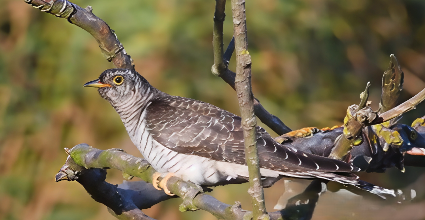 WhatsApp Image 2026-02-19 at 22.18.34 (1)-artguru