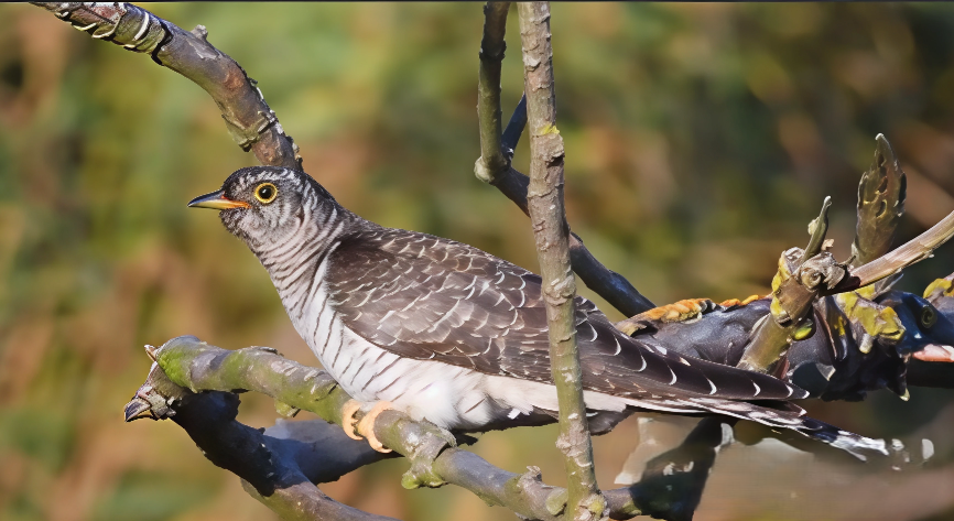 WhatsApp Image 2026-02-19 at 22.18.34 (1)-artguru