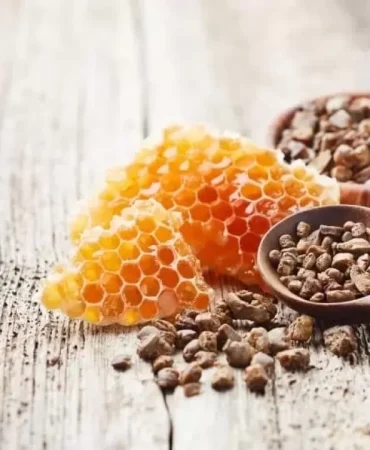 682-3579-propolisin-mucizeleri-bagisiklik-sistemini-guclendiriyor-kanserle-savasabilir-mi.jpg
