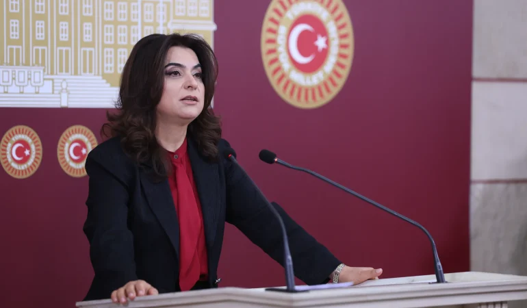 Koçyiğit: Yasal düzenlemeler için vakit kaybedilmemeli