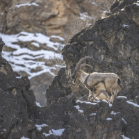 Ekran görüntüsü 2026-03-05 155804