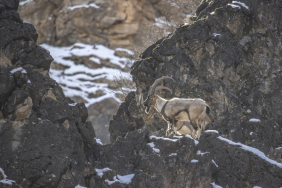 Ekran görüntüsü 2026-03-05 155804