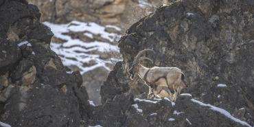 Ekran görüntüsü 2026-03-05 155804