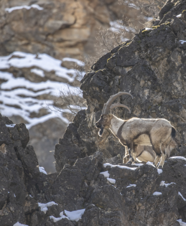 Ekran görüntüsü 2026-03-05 155804