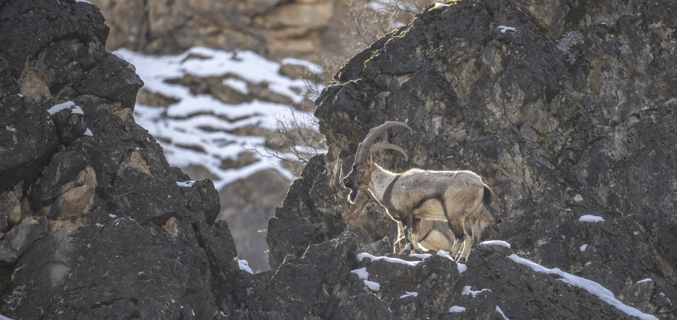 Ekran görüntüsü 2026-03-05 155804