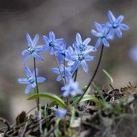 Ekran görüntüsü 2026-03-30 122124