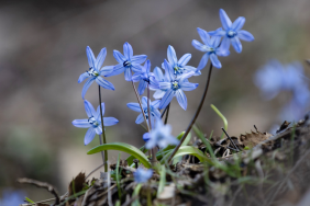 Ekran görüntüsü 2026-03-30 122124