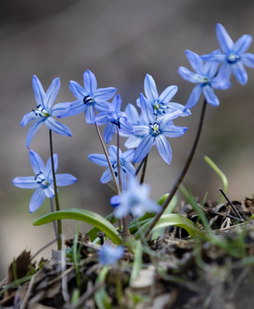 Ekran görüntüsü 2026-03-30 122124