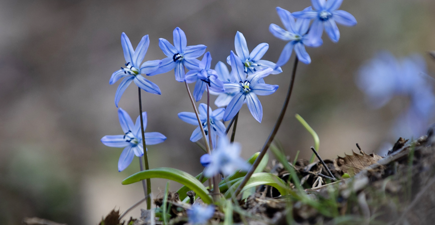 Ekran görüntüsü 2026-03-30 122124