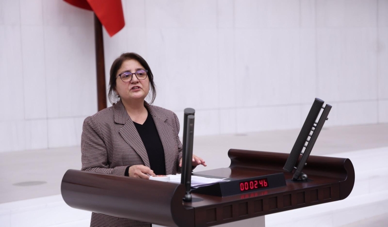 Dersim’de 8 Mart soruşturması Meclis gündeminde: 7 kadın hakkında açılan dosya için önerge