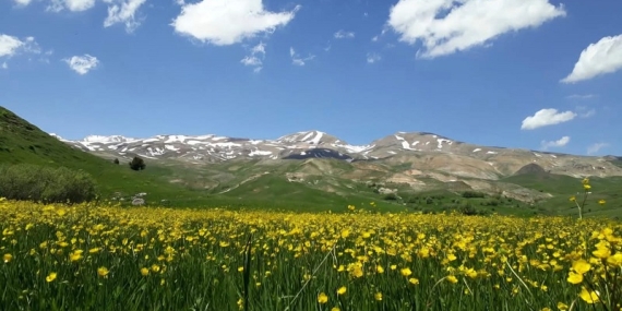 Dersim Barosu’ndan Hel Dağı’ndaki krom madenciliğine dava