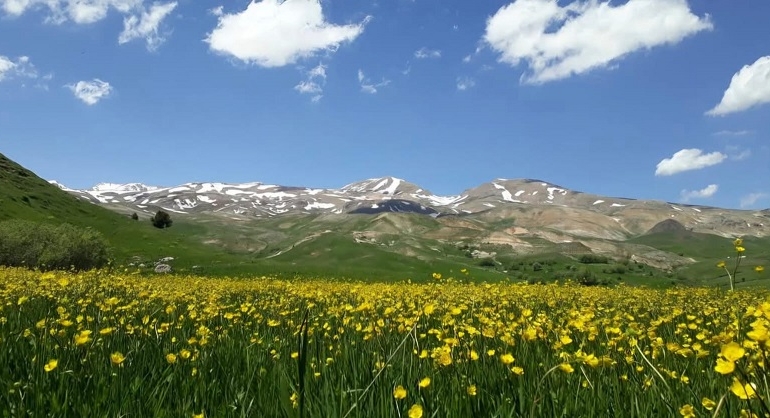 Dersim Barosu’ndan Hel Dağı’ndaki krom madenciliğine dava