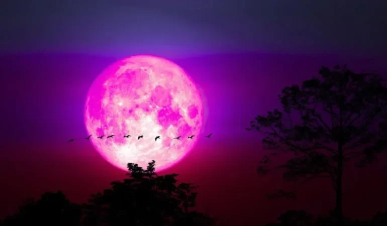 Pembe Dolunay ritüeli nasıl yapılır?