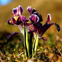 WhatsApp Image 2026-03-21 at 17.09.54