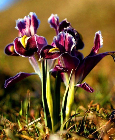 WhatsApp Image 2026-03-21 at 17.09.54