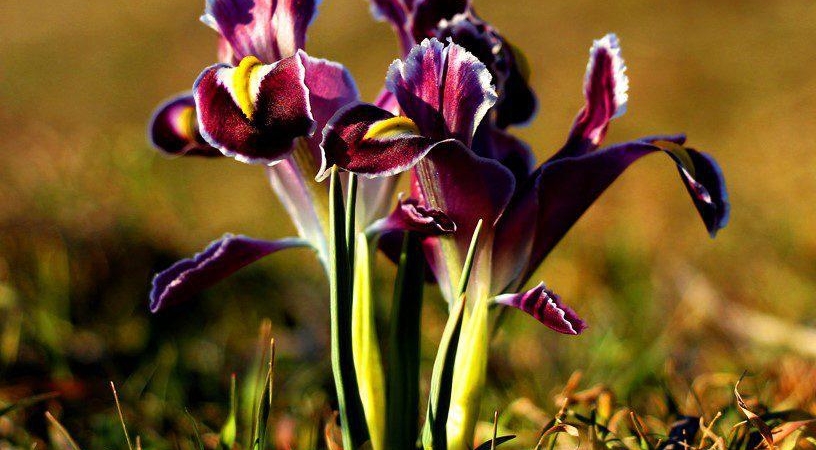 WhatsApp Image 2026-03-21 at 17.09.54