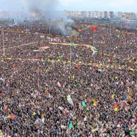 amed-736x414.jpg