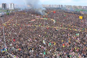 amed-736x414.jpg