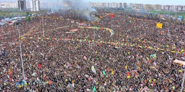 amed-736x414.jpg