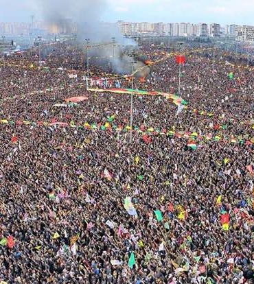 amed-736x414.jpg