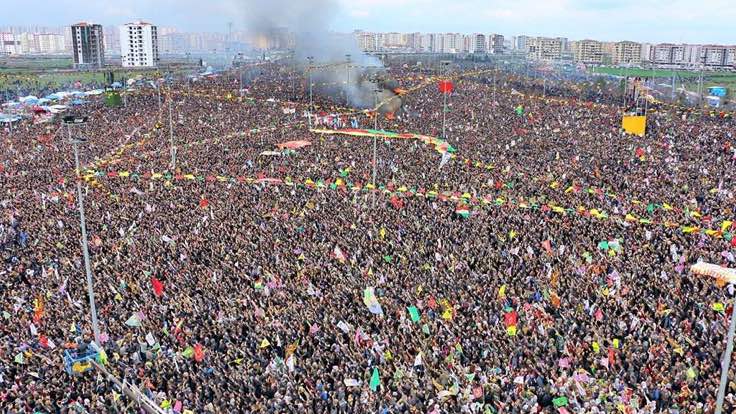 amed-736x414.jpg