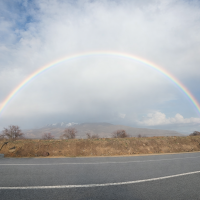 c97ae600-d225-49e1-a015-bafced3506bb