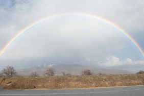 c97ae600-d225-49e1-a015-bafced3506bb