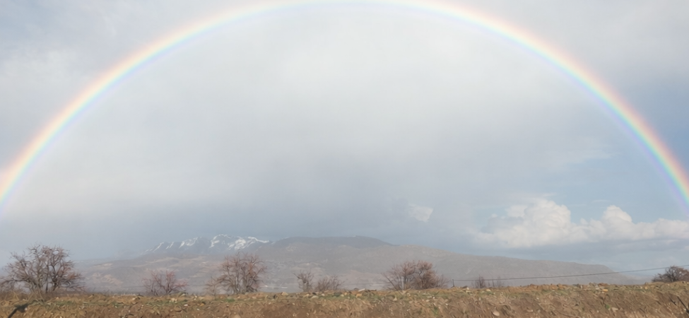 c97ae600-d225-49e1-a015-bafced3506bb