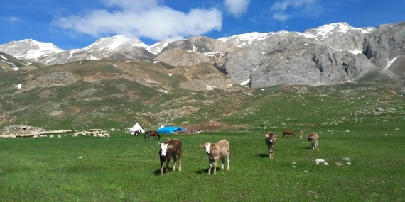 Pülümür’de krom madeni için yeni ÇED süreci başlıyor