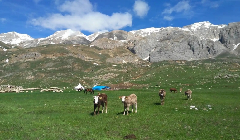 Pülümür’de krom madeni için yeni ÇED süreci başlıyor