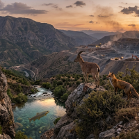 Gemini_Generated_Image_aqapz6aqapz6aqap