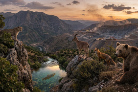 Gemini_Generated_Image_aqapz6aqapz6aqap