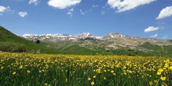 Pülümür’de Planlanan Maden Projesine İlişkin Önerge Verildi